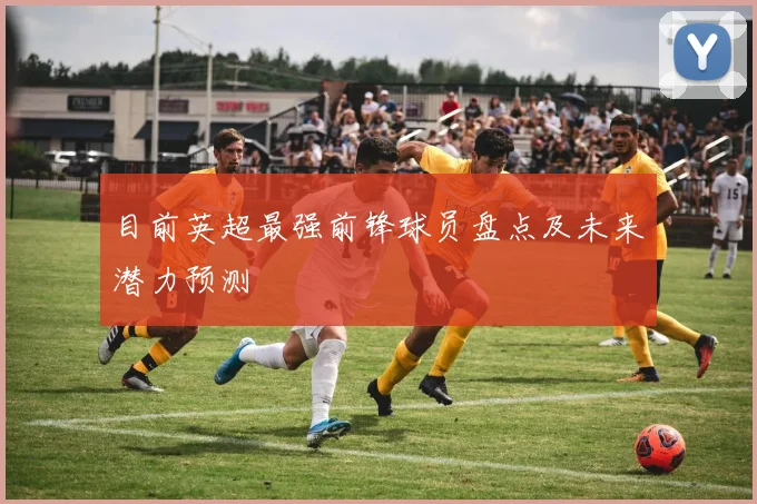 目前英超最强前锋球员盘点及未来潜力预测