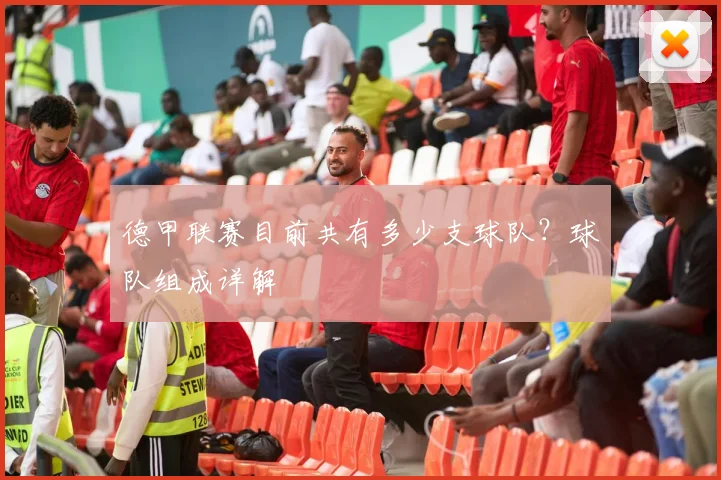 德甲联赛目前共有多少支球队？球队组成详解