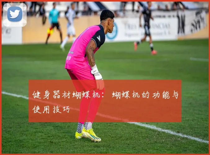 健身器材蝴蝶机:蝴蝶机的功能与使用技巧