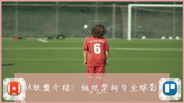 NBA联盟介绍：组织架构与全球影响力