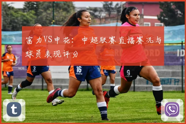 富力VS申花:中超联赛直播赛况与球员表现评分