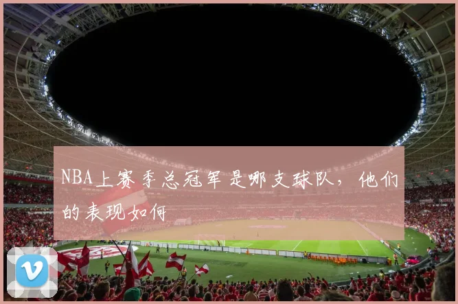 NBA上赛季总冠军是哪支球队，他们的表现如何