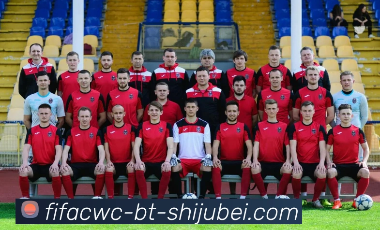 世界杯直播平台生态图